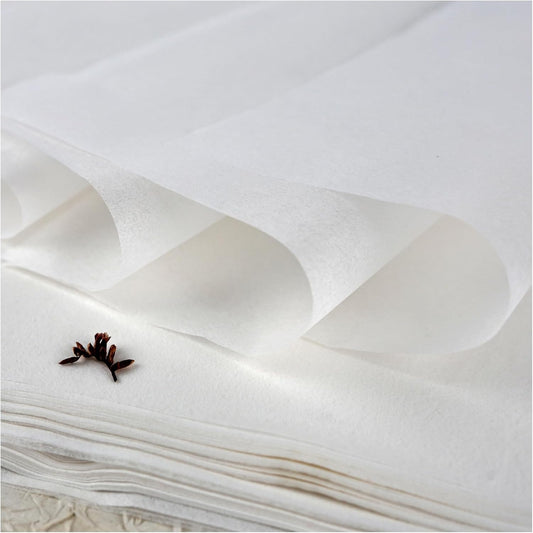 100 Sheets Luminous White Gampi Rice Paper, 9.4 x 15.7”, Handmade Translucent Cicada Wing Art Paper, Strong & Smooth Thin Fiber for Botanical Tracing, Calligraphy, Decoupage and Wedding Crafts