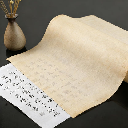 100 Sheets Antique Rice Paper - Cicada Wing 9.4x15.7