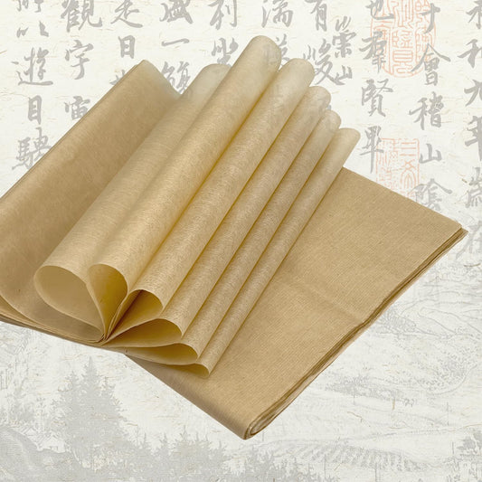 100 Sheets Antique Rice Paper - Cicada Wing 9.4x15.7