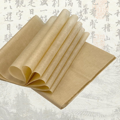 100 Sheets Antique Rice Paper - Cicada Wing 9.4x15.7