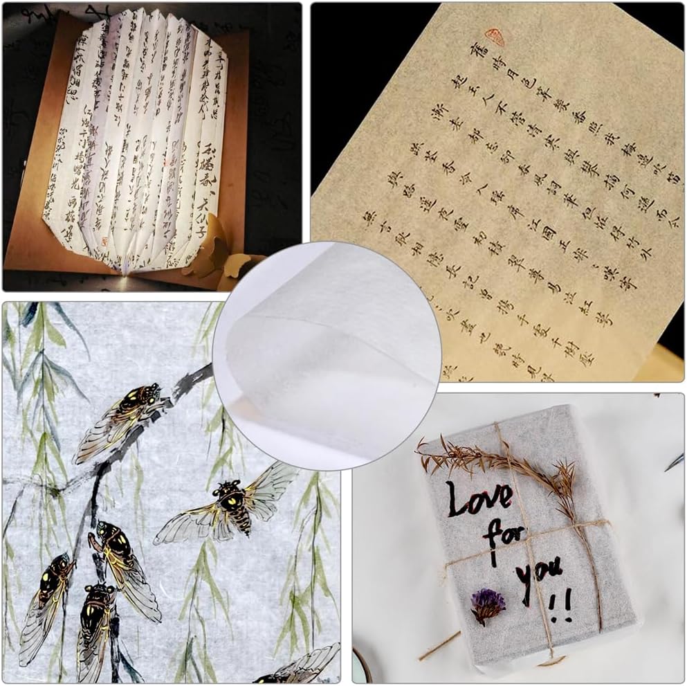 100 Sheets Luminous White Gampi Rice Paper, 9.4 x 15.7”, Handmade Translucent Cicada Wing Art Paper, Strong & Smooth Thin Fiber for Botanical Tracing, Calligraphy, Decoupage and Wedding Crafts