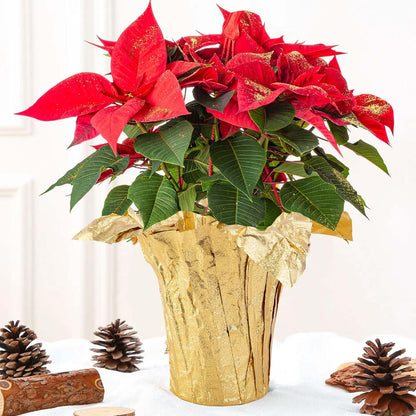 10 Yard Christmas Plant Pot Floral Foil, Florals Foils Wrapping Paper