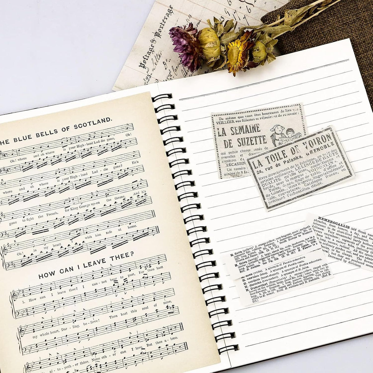 240 Pcs Vintage Scrapbook Paper Sheets for Junk Journal