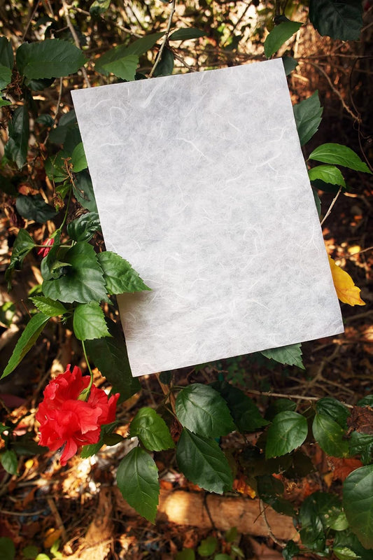 White Mulberry Paper Sheets Origami Design Craft Hand Made Art Tissue Washi Suppliers Card Making Glass Decoupage (8.5 x 11.0in) (25 sheets)